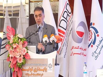  سعدمحمدی: کاهش حاشیه سود، زنگ خطر برای سرمایه‌گذاری در زنجیره فولاد است