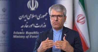 بقائی: هراسی از مذاکره واقعی نداریم/ تجمعات دیماه در ابتدا مسالمتآمیز بود