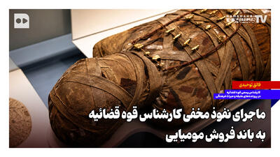  ماجرای نفوذ مخفی کارشناس قوه قضائیه به باند فروش مومیایی
