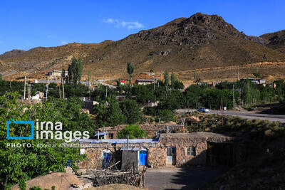  روستای گروه کرمان