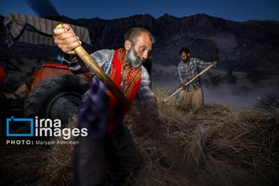  فصل کشت و کار عشایر بختیاری