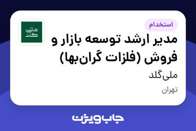  استخدام مدیر ارشد توسعه بازار و فروش (فلزات گران‌بها) در ملی‌گلد