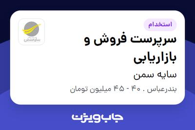 استخدام سرپرست فروش و بازاریابی - آقا در سایه سمن