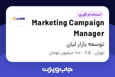  استخدام Marketing Campaign Manager در توسعه بازار لیان