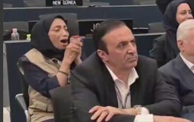  ببینید | واکنش دکتر حمیده چوبک پس از اعلام رسمی ثبت جهانی «الموت» در فهرست میراث جهانی یونسکو