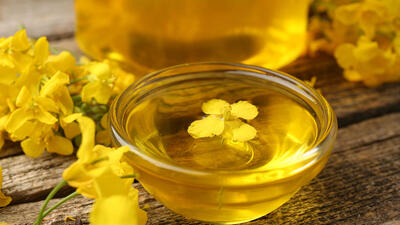 هشدار درباره کمبود روغن در ماههای آینده؛ حذف ارز ترجیحی فعلاً بازار را آرام نگه داشته است