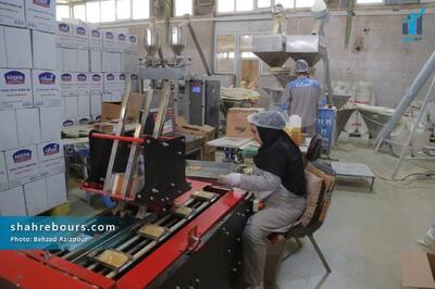  فروش ۱۰۰ میلیاردی «غاذر» در تیرماه ۱۴۰۵