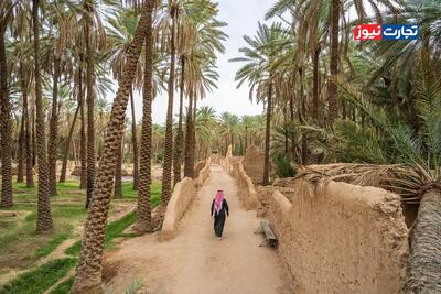  طرح سبز خاورمیانه؛ هدف‌گذاری برای کاشت ۳۵.۴ میلیارد درخت و احیای ۹۹.۴ میلیون هکتار زمین