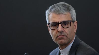 بقائی: اربعین امسال با یاد رهبر شهید و شهدای ایران معنایی متفاوت یافته است