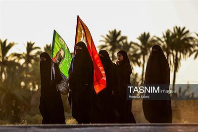  عکس/پیاده‌روی اربعین در شهر شامیه عراق
