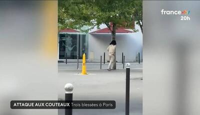 حمله با چاقو به سه زن در فرانسه؛ دادستانی احتمال تروریستی بودن حادثه را بررسی میکند