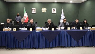 مجلس مصادیق و مجازات جنایت تجاوز به تمامیت ارضی را تصویب کرد