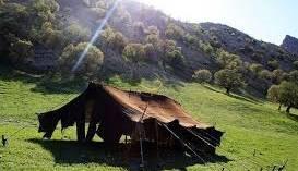  واسطه از خرید و فروش دام عشایر اردبیل حذف شد