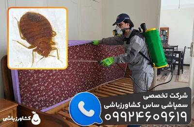  شرکت سمپاشی ساس کشاورزباشی؛ بهترین شرکت سمپاشی ساس [ سمپاشی ساس با سم خارجی ]