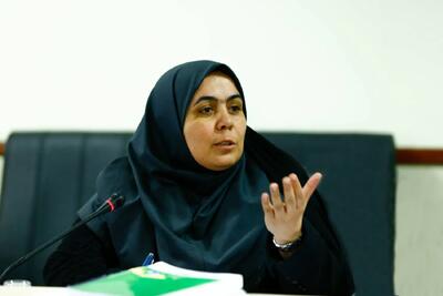 میکروپلاستیکها به چالش نوظهور زیست محیطی پایتخت تبدیل شدهاند