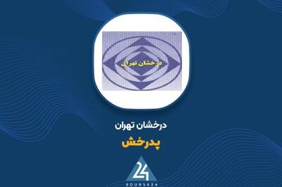 «پدرخش»: ۳۸ میلیارد تومان فروش داخلی و ۲۴ میلیارد تومان صادرات دوره 4 ماهه