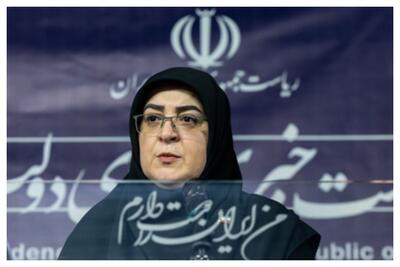 اظهارات مهاجرانی درباره محدودسازی یا تعلیق کسبوکارهای اینترنتی