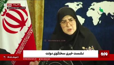  خبر مهم سخنگوی دولت درباره قیمت و سهمیه بنزین+ فیلم