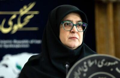 سخنگوی دولت: نرخ بنزین سهمیه‌ای تغییر ندارد؛ تدبیر برای سهمیه سوم - همدلی