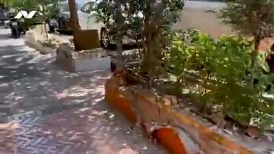 تخریب جدولها و باغچههای مقابل کافههای خیابان سنایی با پتک!+ فیلم