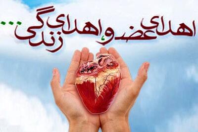 اهدای زندگی از امیدیه؛ کبد و کلیههای جوان ۳۹ ساله به بیماران نیازمند رسید