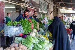  قیمت عمده‌فروشی محصولات کشاورزی ۵ تا ۱۱ مرداد ۱۴۰۵