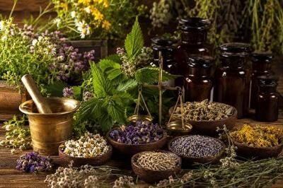 استانداردسازی و پژوهش، مسیر توسعه طب ایرانی را هموار میکند