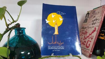 «مرثیه آفتاب» با روایت شعرای فارس از شهدای لامرد منتشر شد
