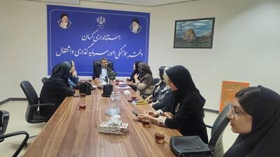  توسعه اقتصادی بدون مشارکت بانوان محقق نمی‌شود/ استانداری کرمان به دنبال افزایش سهم زنان