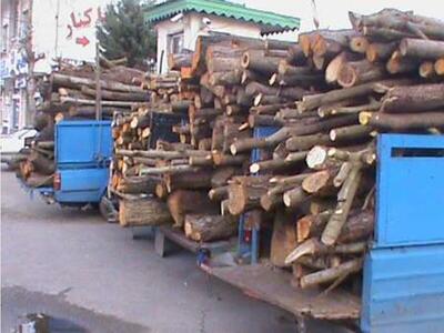 جلوگیری از قاچاق ۲۹ مترمکعب چوب جنگلی و باغی در همدان