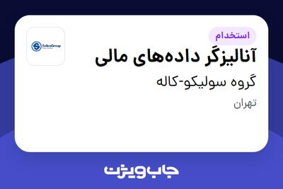  استخدام آنالیزگر داده‌های مالی - آقا در گروه سولیکو-کاله