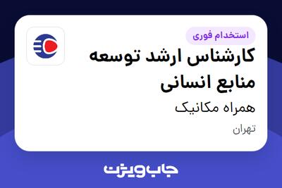 استخدام کارشناس ارشد توسعه منابع انسانی در همراه مکانیک
