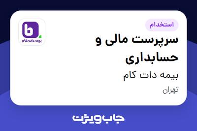 استخدام سرپرست مالی و حسابداری در بیمه دات کام