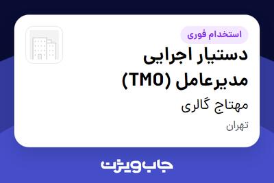 استخدام دستیار اجرایی مدیرعامل (TMO) - خانم در مهتاج گالری
