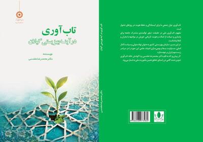  میگنا - خانه تاب آوری | کتاب «تاب‌آوری در آینه بهزیستی گیلان» همزمان با سالروز تأسیس بهزیستی منتشر شد