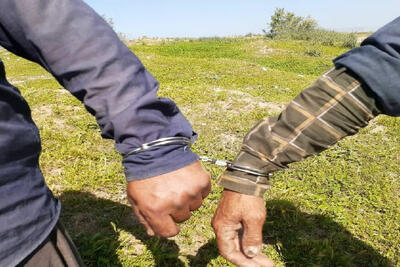  عملیات هماهنگ محیط‌بانان و پاسداران در مقابله باشکارچیان غیرمجاز