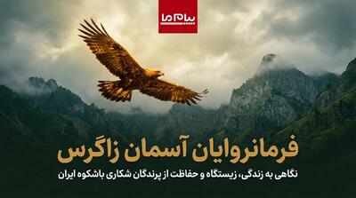 پرندگان شکاری زاگرس در خطر