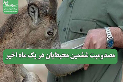 مصدومیت ششمین محیطبان در یک ماه اخیر