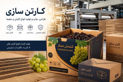 تبلیغات/ کارتن سازی حرفهای؛ راهنمای جامع انتخاب بهترین بستهبندی کارتنی برای کسبوکار شما