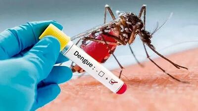  قباد مرادی از ثبت هزار ابتلا به تب دنگی در کشور خبر داد/بیشترین انتقال محلی در چابهار و کنارک