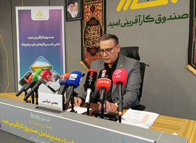 محسن ضیائی: حرکت صندوق کارآفرینی امید بهسوی خدمات هوشمند و تمرکز بر اشتغال خرد در مناطق محروم است