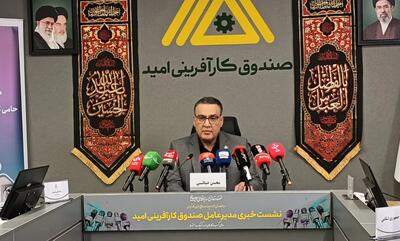 محسن ضیائی: توسعه صندوقهای خرد محلی میتواند بخش بزرگی از مشکلات اشتغال را حل کند