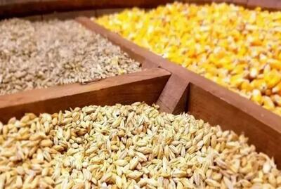 جلوگیری از اخلال در واردات ۲۰۰ هزار تن نهاده دامی و کالای اساسی با ورود دادستانی تهران