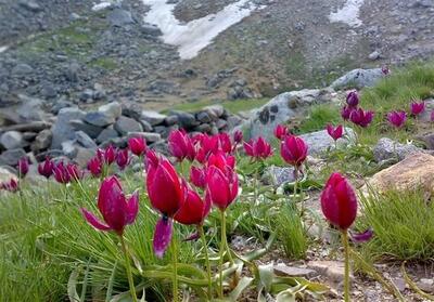  دمای هوای همدان 3 درجه خنک‌ می‌شود - تسنیم