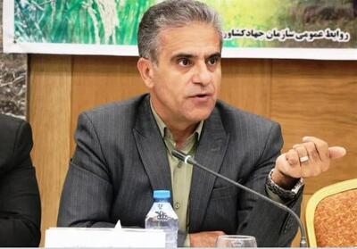  هدررفت میلیونی غلات زیر چرخ‌های فرسوده/ضرورت نوسازی ناوگان کشاورزی - تسنیم