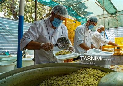  خدمت‌رسانی 50 موکب بروجرد به زائران اربعین - تسنیم