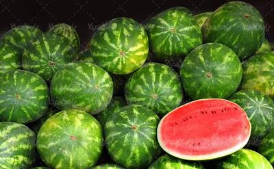 مراقب مسموم شدن با این میوه تابستانی باشید