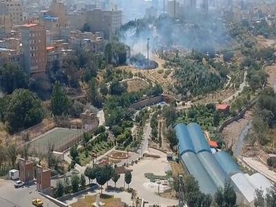فیلم/ دومین آتشسوزی در فضای سبز پارک کلانترباغی