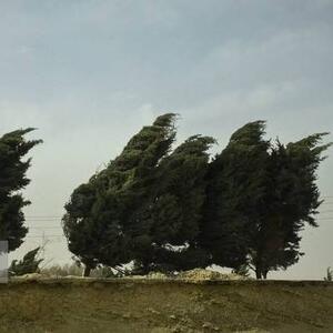  افزایش سرعت وزش باد در تهران