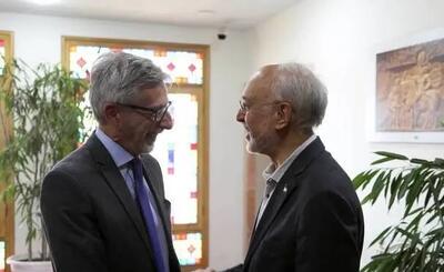  دیدار سفیر فرانسه با علی اکبر صالحی